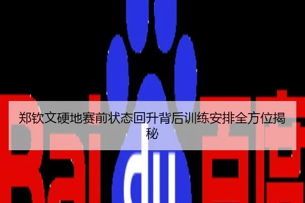 郑钦文硬地赛前状态回升背后训练安排全方位揭秘