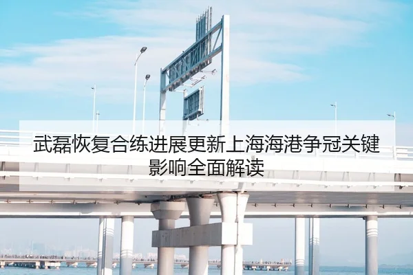 武磊恢复合练进展更新上海海港争冠关键影响全面解读